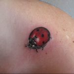 photo ladybug tattoo 17.04.2019 №110 - idea for ladybug tattoo - tattoovalue.net