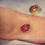 photo ladybug tattoo 17.04.2019 №111 - idea for ladybug tattoo - tattoovalue.net