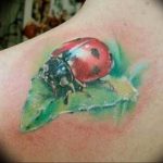 photo ladybug tattoo 17.04.2019 №114 - idea for ladybug tattoo - tattoovalue.net