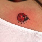 photo ladybug tattoo 17.04.2019 №116 - idea for ladybug tattoo - tattoovalue.net