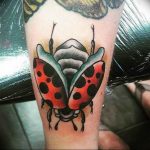 photo ladybug tattoo 17.04.2019 №117 - idea for ladybug tattoo - tattoovalue.net