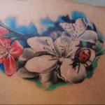 photo ladybug tattoo 17.04.2019 №121 - idea for ladybug tattoo - tattoovalue.net