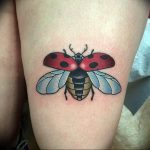photo ladybug tattoo 17.04.2019 №122 - idea for ladybug tattoo - tattoovalue.net