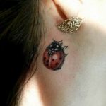 photo ladybug tattoo 17.04.2019 №124 - idea for ladybug tattoo - tattoovalue.net