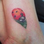 photo ladybug tattoo 17.04.2019 №126 - idea for ladybug tattoo - tattoovalue.net