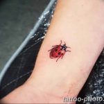 photo ladybug tattoo 17.04.2019 №127 - idea for ladybug tattoo - tattoovalue.net