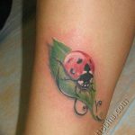 photo ladybug tattoo 17.04.2019 №128 - idea for ladybug tattoo - tattoovalue.net
