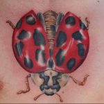 photo ladybug tattoo 17.04.2019 №129 - idea for ladybug tattoo - tattoovalue.net