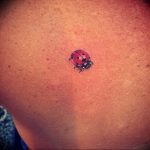 photo ladybug tattoo 17.04.2019 №134 - idea for ladybug tattoo - tattoovalue.net