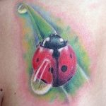 photo ladybug tattoo 17.04.2019 №135 - idea for ladybug tattoo - tattoovalue.net
