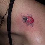 photo ladybug tattoo 17.04.2019 №140 - idea for ladybug tattoo - tattoovalue.net