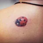 photo ladybug tattoo 17.04.2019 №141 - idea for ladybug tattoo - tattoovalue.net