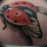 photo ladybug tattoo 17.04.2019 №143 - idea for ladybug tattoo - tattoovalue.net