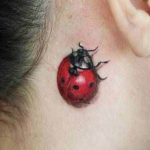 photo ladybug tattoo 17.04.2019 №155 - idea for ladybug tattoo - tattoovalue.net