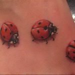 photo ladybug tattoo 17.04.2019 №156 - idea for ladybug tattoo - tattoovalue.net