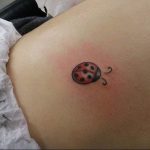 photo ladybug tattoo 17.04.2019 №161 - idea for ladybug tattoo - tattoovalue.net