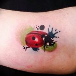 photo ladybug tattoo 17.04.2019 №162 - idea for ladybug tattoo - tattoovalue.net