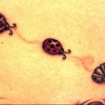 photo ladybug tattoo 17.04.2019 №168 - idea for ladybug tattoo - tattoovalue.net