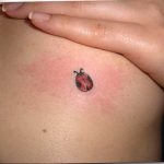 photo ladybug tattoo 17.04.2019 №169 - idea for ladybug tattoo - tattoovalue.net