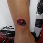 photo ladybug tattoo 17.04.2019 №171 - idea for ladybug tattoo - tattoovalue.net