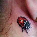 photo ladybug tattoo 17.04.2019 №173 - idea for ladybug tattoo - tattoovalue.net