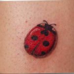 photo ladybug tattoo 17.04.2019 №175 - idea for ladybug tattoo - tattoovalue.net