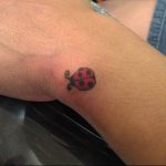 photo ladybug tattoo 17.04.2019 №178 - idea for ladybug tattoo - tattoovalue.net