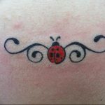 photo ladybug tattoo 17.04.2019 №185 - idea for ladybug tattoo - tattoovalue.net
