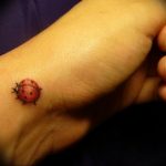 photo ladybug tattoo 17.04.2019 №187 - idea for ladybug tattoo - tattoovalue.net