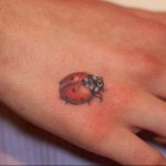 photo ladybug tattoo 17.04.2019 №188 - idea for ladybug tattoo - tattoovalue.net