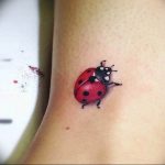 photo ladybug tattoo 17.04.2019 №191 - idea for ladybug tattoo - tattoovalue.net
