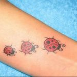 photo ladybug tattoo 17.04.2019 №192 - idea for ladybug tattoo - tattoovalue.net
