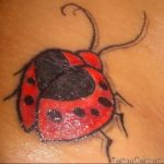 photo ladybug tattoo 17.04.2019 №195 - idea for ladybug tattoo - tattoovalue.net