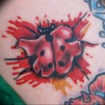 photo ladybug tattoo 17.04.2019 №199 - idea for ladybug tattoo - tattoovalue.net