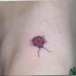 photo ladybug tattoo 17.04.2019 №202 - idea for ladybug tattoo - tattoovalue.net