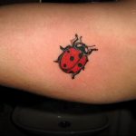 Small, traditional ladybug tattoo on the forearm, featuring bold black outlines and a vibrant red shell, in a classic tattoo style.
