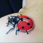 photo ladybug tattoo 17.04.2019 №205 - idea for ladybug tattoo - tattoovalue.net