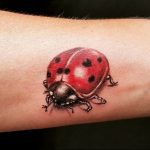 photo ladybug tattoo 17.04.2019 №209 - idea for ladybug tattoo - tattoovalue.net