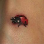 photo ladybug tattoo 17.04.2019 №211 - idea for ladybug tattoo - tattoovalue.net