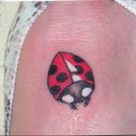 photo ladybug tattoo 17.04.2019 №212 - idea for ladybug tattoo - tattoovalue.net