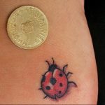 photo ladybug tattoo 17.04.2019 №214 - idea for ladybug tattoo - tattoovalue.net