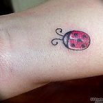 photo ladybug tattoo 17.04.2019 №217 - idea for ladybug tattoo - tattoovalue.net