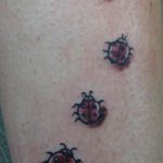 photo ladybug tattoo 17.04.2019 №220 - idea for ladybug tattoo - tattoovalue.net