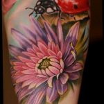 photo ladybug tattoo 17.04.2019 №223 - idea for ladybug tattoo - tattoovalue.net