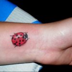 photo ladybug tattoo 17.04.2019 №225 - idea for ladybug tattoo - tattoovalue.net