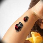photo ladybug tattoo 17.04.2019 №228 - idea for ladybug tattoo - tattoovalue.net