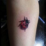 photo ladybug tattoo 17.04.2019 №234 - idea for ladybug tattoo - tattoovalue.net