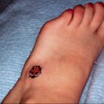 photo ladybug tattoo 17.04.2019 №236 - idea for ladybug tattoo - tattoovalue.net