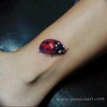 photo ladybug tattoo 17.04.2019 №238 - idea for ladybug tattoo - tattoovalue.net