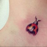 photo ladybug tattoo 17.04.2019 №243 - idea for ladybug tattoo - tattoovalue.net